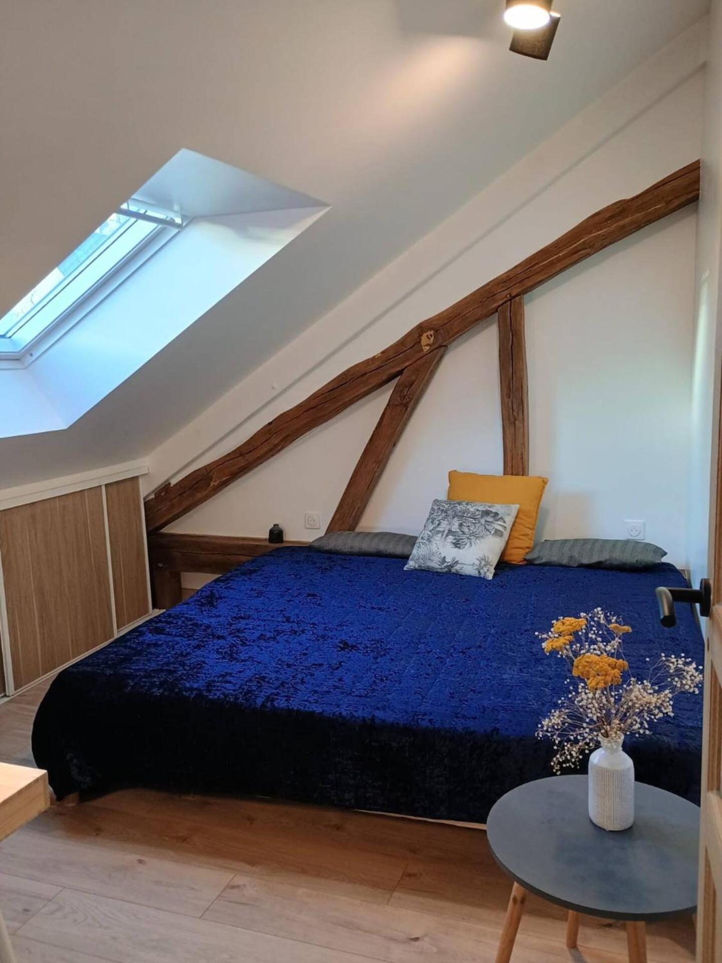 Domaine De Charme Au Coeur D'Orleans Classe 3 Etoiles - Bords De Loire - 21 Couchages Avec Parkings Prives Екстер'єр фото